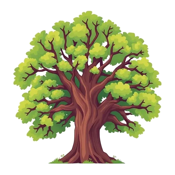 Welcome to Oak.Beauty